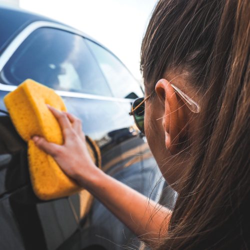 Bil till hästtransport